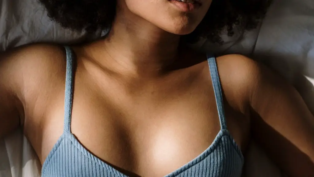 What is the meaning of mistress in french?